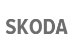 Hochwertige SKODA Autoersatzteile günstig online bestellen